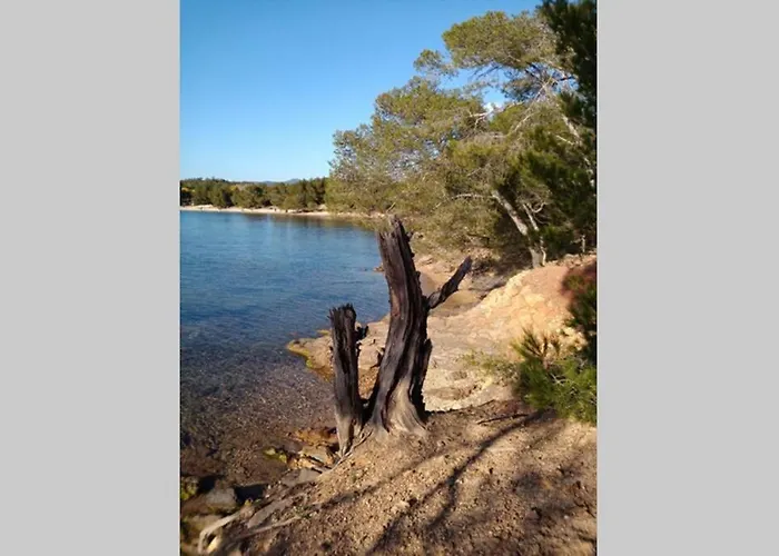 Face Mer Entre Plage Et Marina